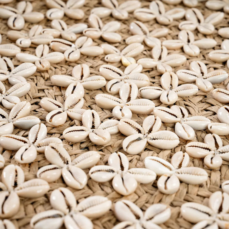 Bazarbizar-b2b The Costa Shell Scale-Natural White-M