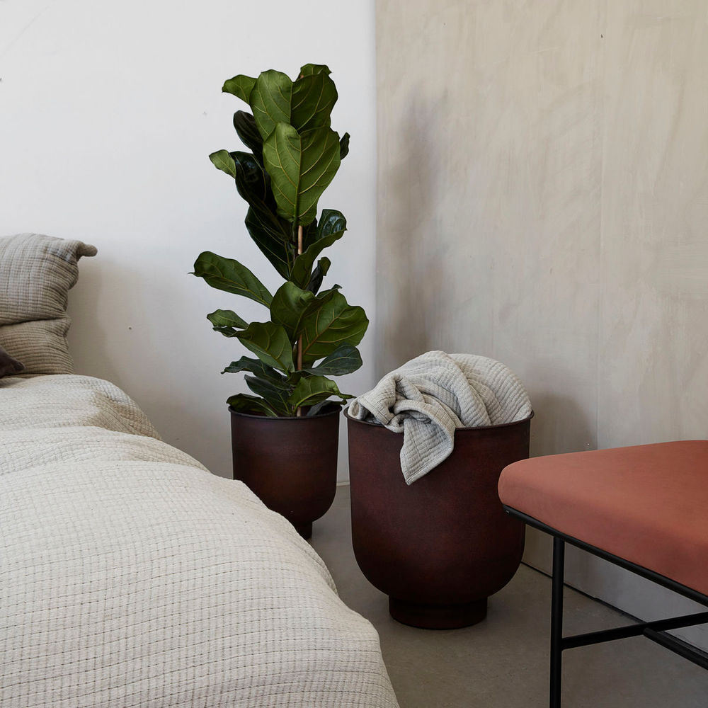 House Doctor Plants, Vig, Henné brûlé