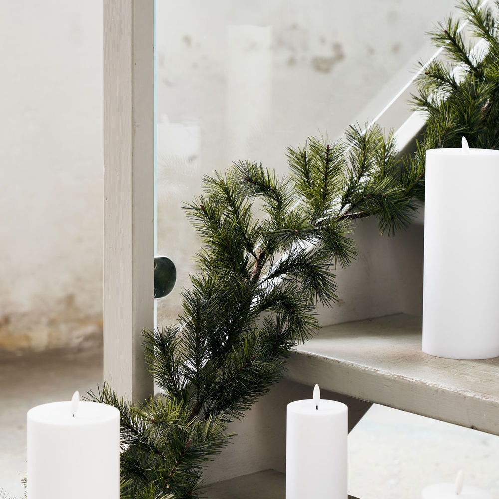 Hausarzt Peuce, Natur