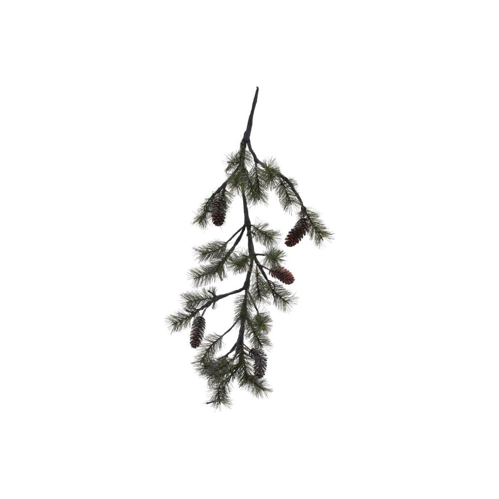 Hausarzt Peuce, Natur