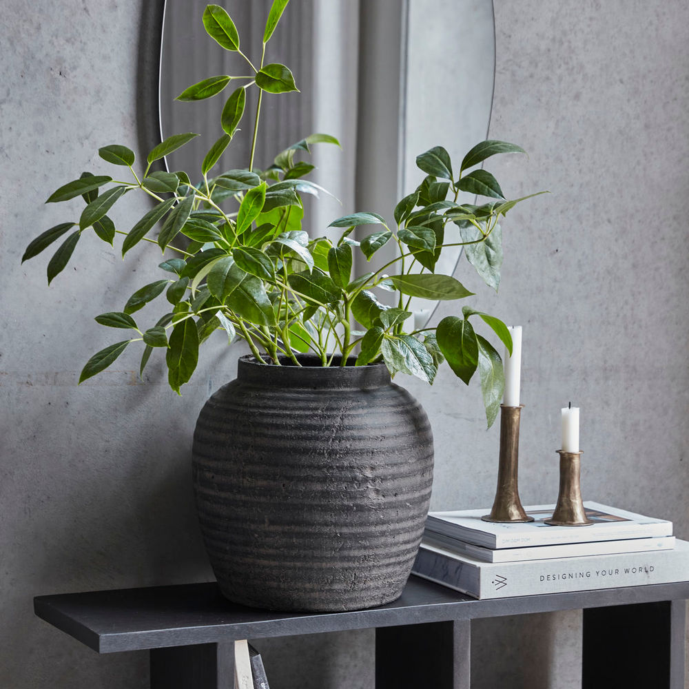 House Doctor Planten, HDHafa, Grijs/bruin