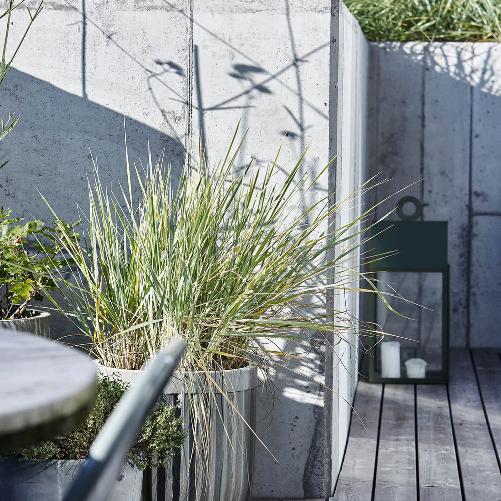 House Doctor Planten, Concrete, Lichtgrijs