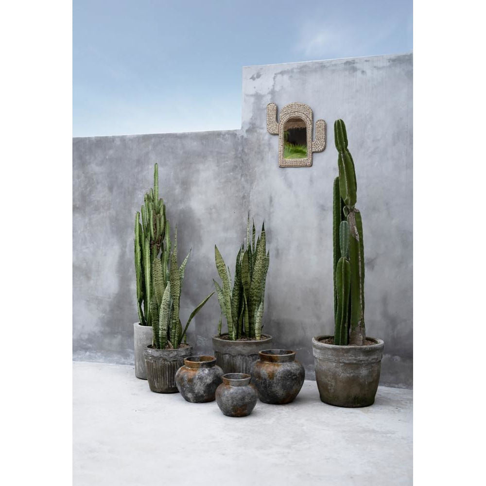 Bazar Bizar Miroir Coquillage Cactus-Naturel