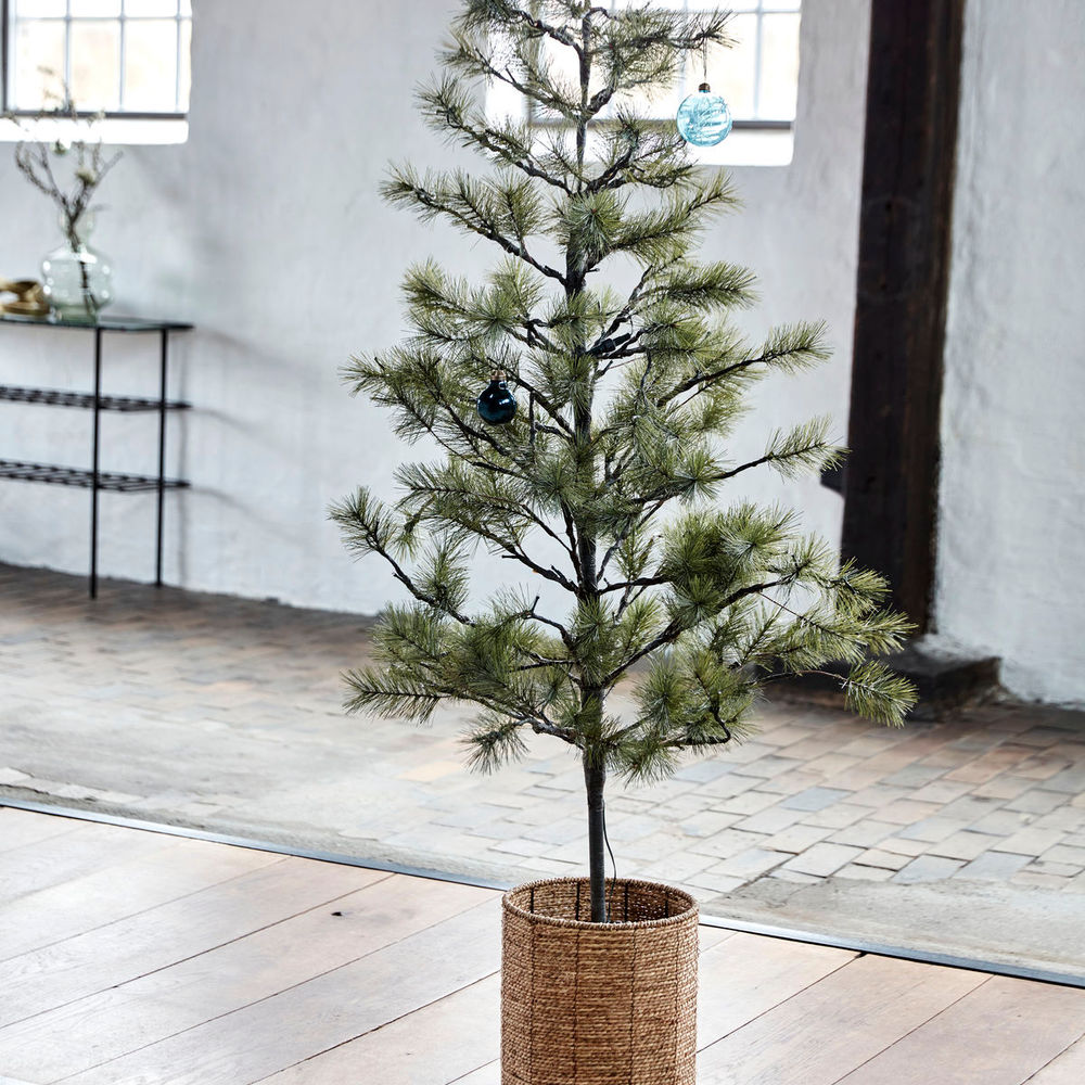 Hausarzt Weihnachts baum mit LED-Leuchten, Peuce, Natur